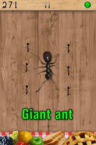 蚂蚁终结者（Ant Smasher）