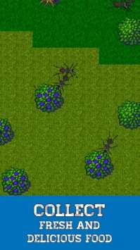 蚂蚁模拟器（Ant Evolution）