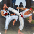 空手道搏击2020（karate challenge 2019）