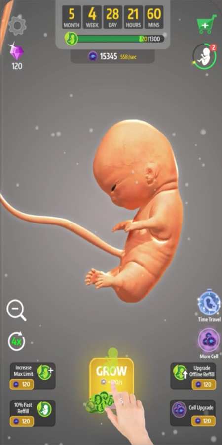 怀胎九月（9 Months）
