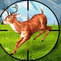 狙击普通的鹿