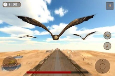 老鹰比赛模拟器（Birds Race Simulator）