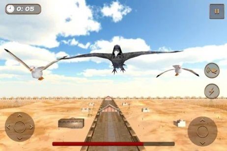 老鹰比赛模拟器（Birds Race Simulator）