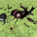 臭虫战斗模拟器3D（Bug Battle Simulator）
