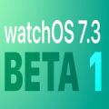 watchOS7.3描述文件