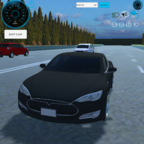 特斯拉汽车（Tesla City Drive Game - Protocol）