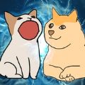 波波猫vs柴犬